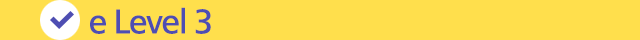 e level 3