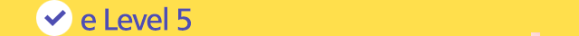 e level 5